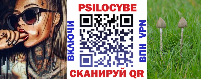 как найти наркотики  площадка наркотические препараты  Псилоцибиновые грибы MAGIC MUSHROOMS  Зерноград 