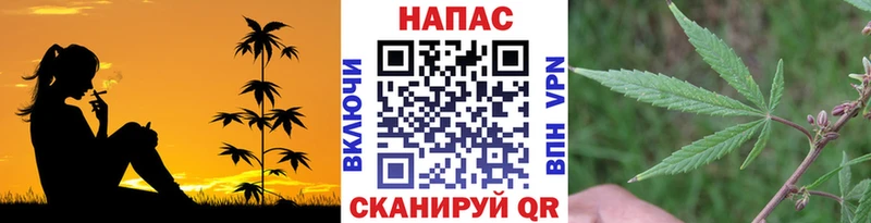 где купить наркоту Зерноград OMG вход Бошки Шишки ГИДРОПОН